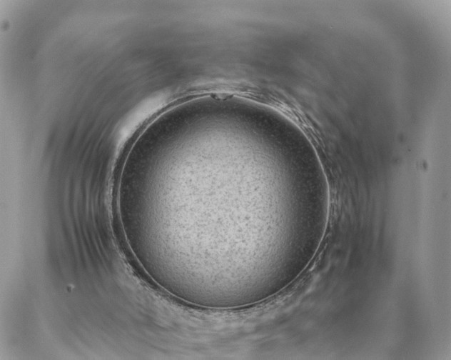 X0000088580006200706011124