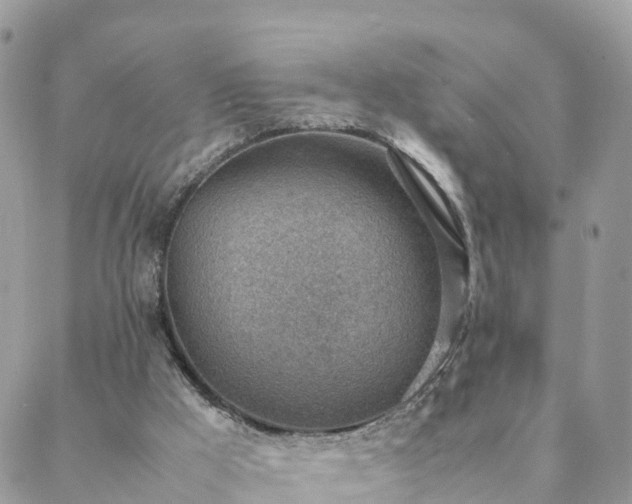 X0000088580009200706011124