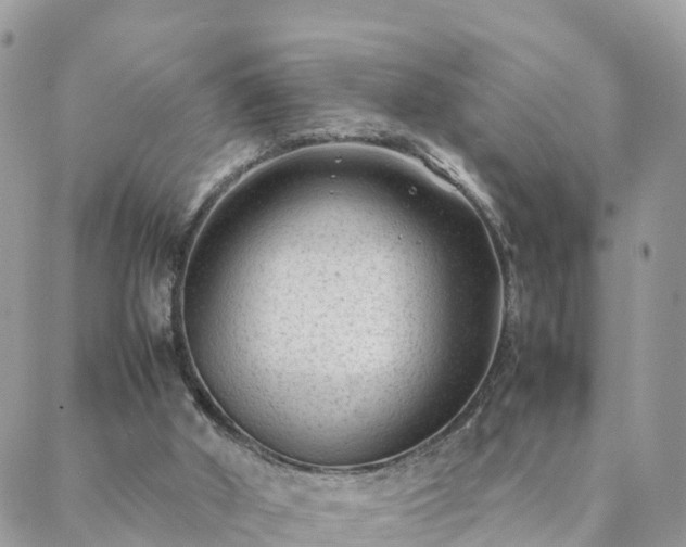 X0000088580010200706011124