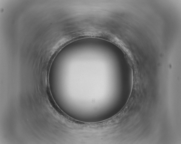 X0000088580011200706011124