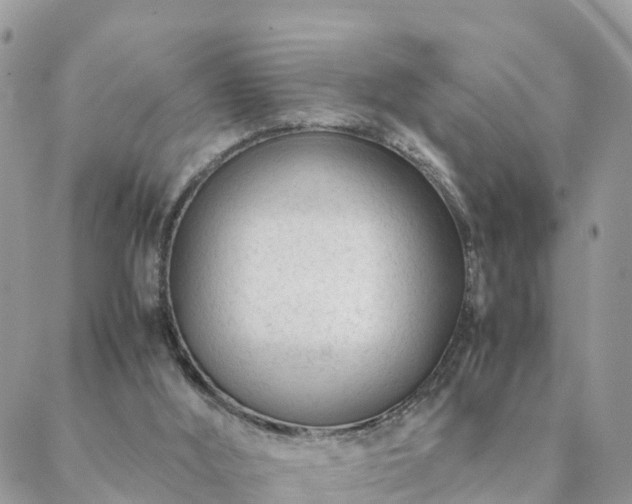 X0000088580012200706011124