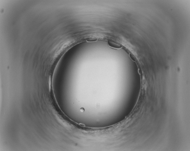 X0000088580013200706011124