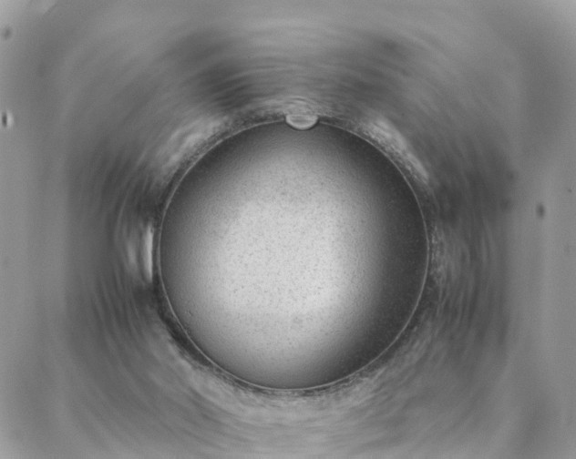 X0000088580014200706011124