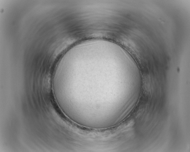 X0000088580016200706011124