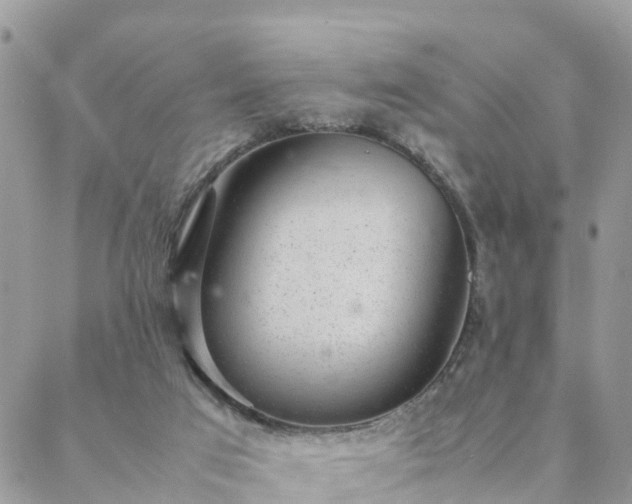 X0000088580017200706011124