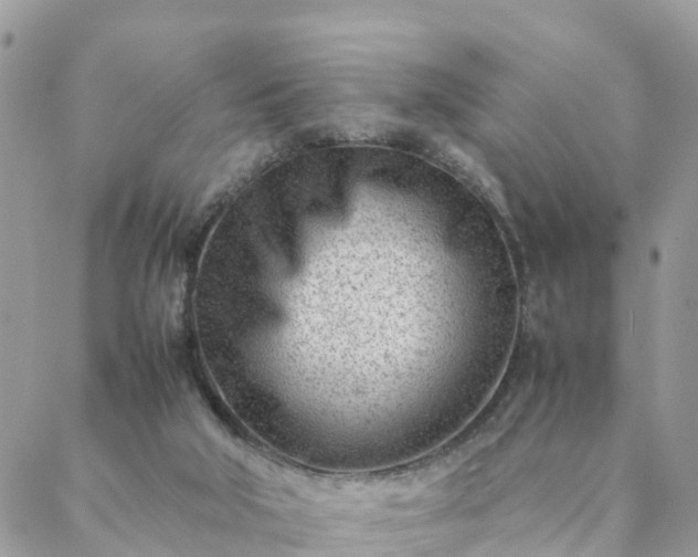 X0000088580018200706011124