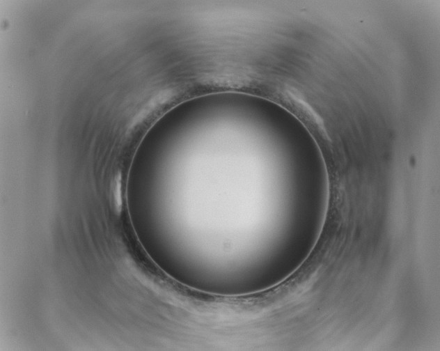 X0000088580020200706011124