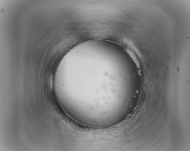 X0000088580021200706011124