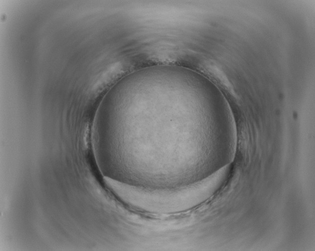 X0000088580023200706011124