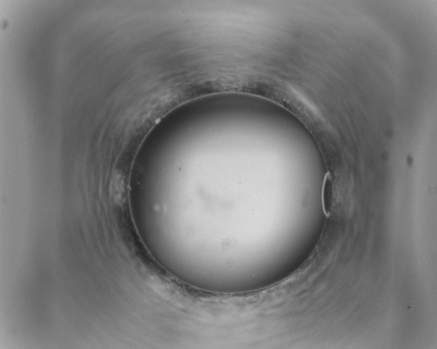 X0000088580025200706011124