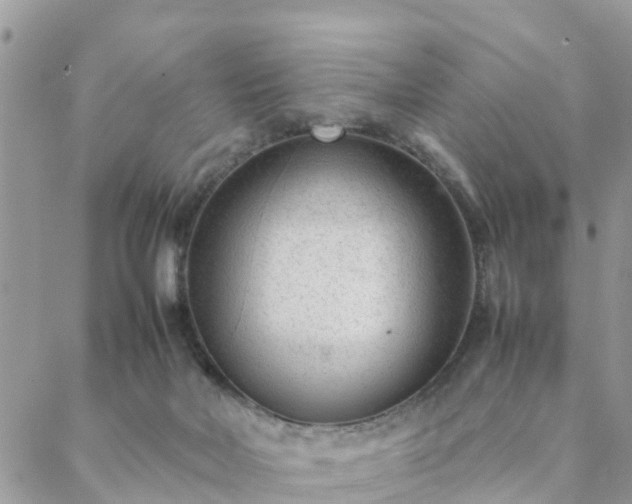 X0000088580026200706011124