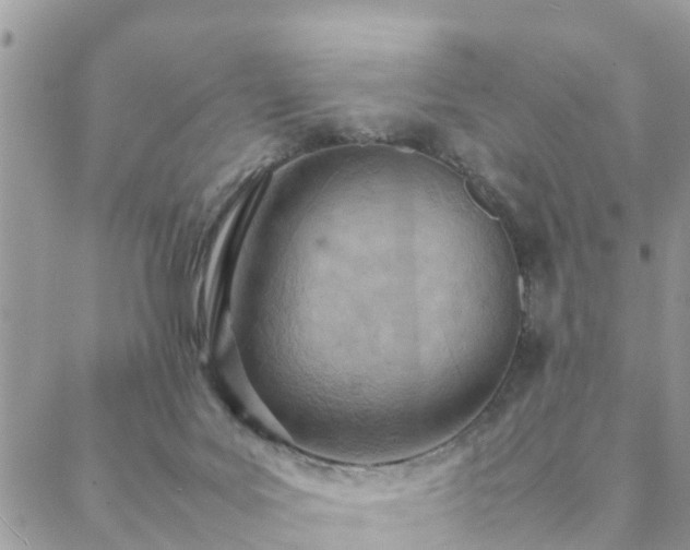 X0000088580027200706011124