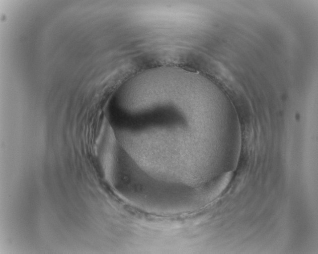 X0000088580029200706011124