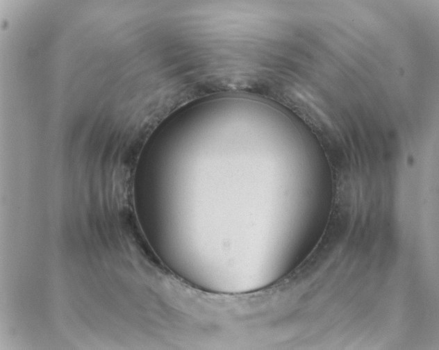 X0000088580030200706011124