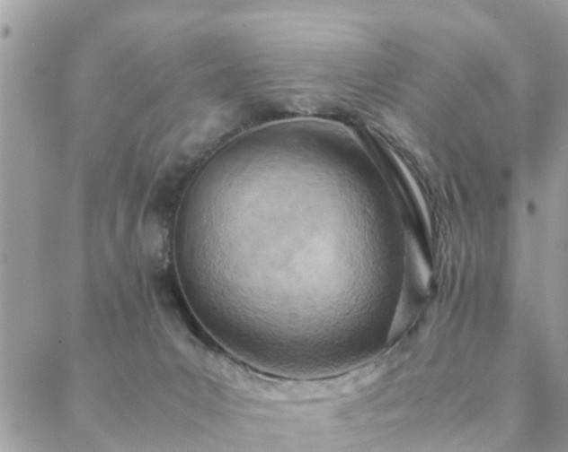 X0000088580031200706011124