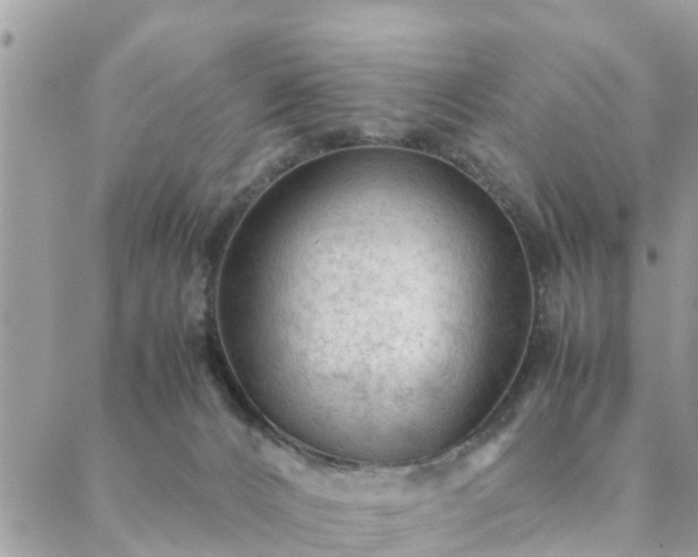 X0000088580032200706011124