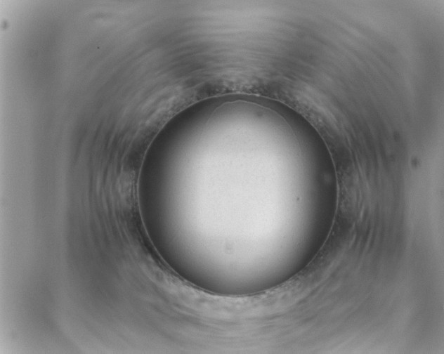 X0000088580034200706011124