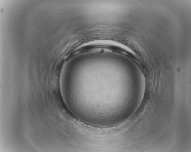 X0000088580035200706011124