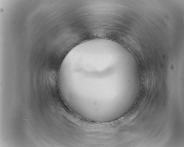 X0000088580036200706011124