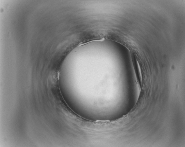 X0000088580037200706011124