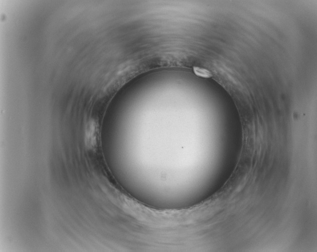 X0000088580038200706011124