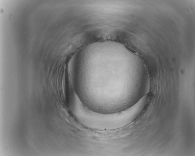 X0000088580039200706011124