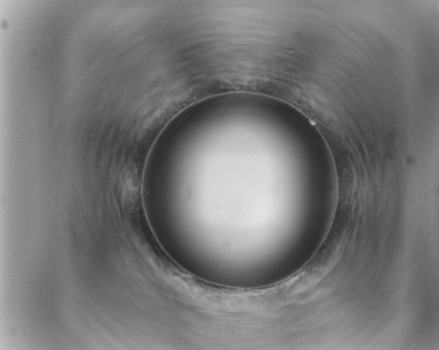 X0000088580040200706011124