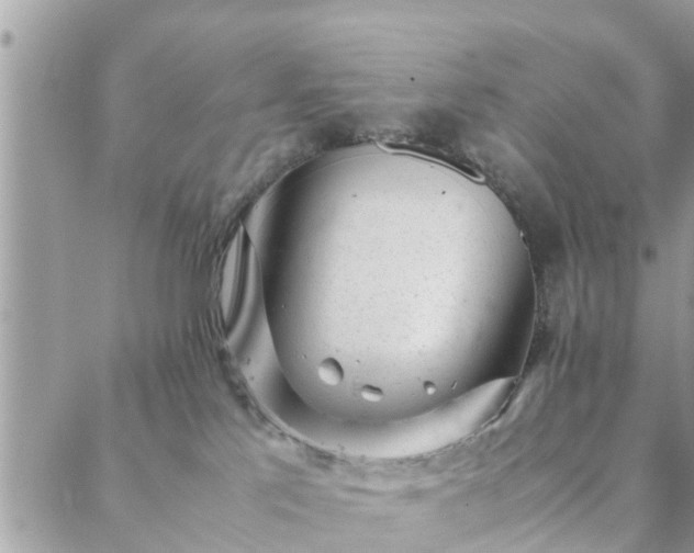 X0000088580041200706011124