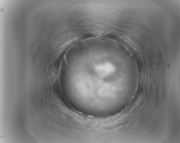 X0000088580043200706011124