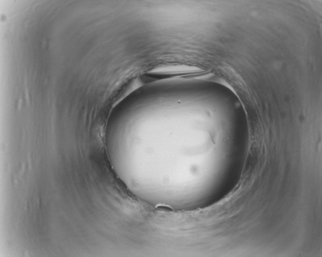 X0000088580045200706011123