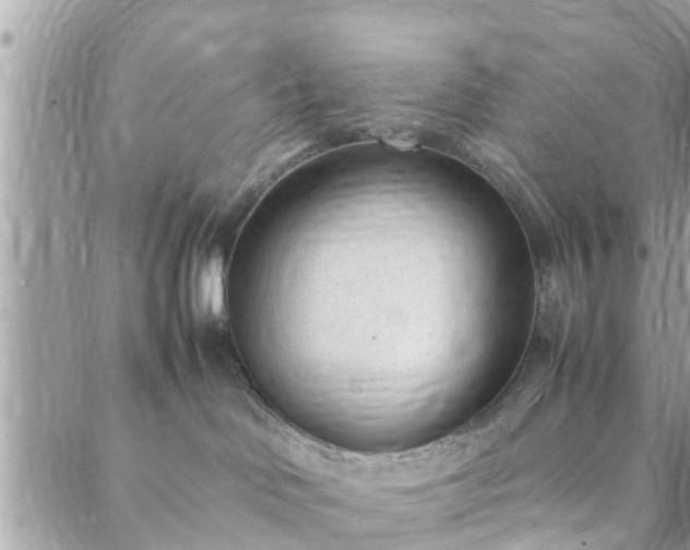 X0000088580046200706011123