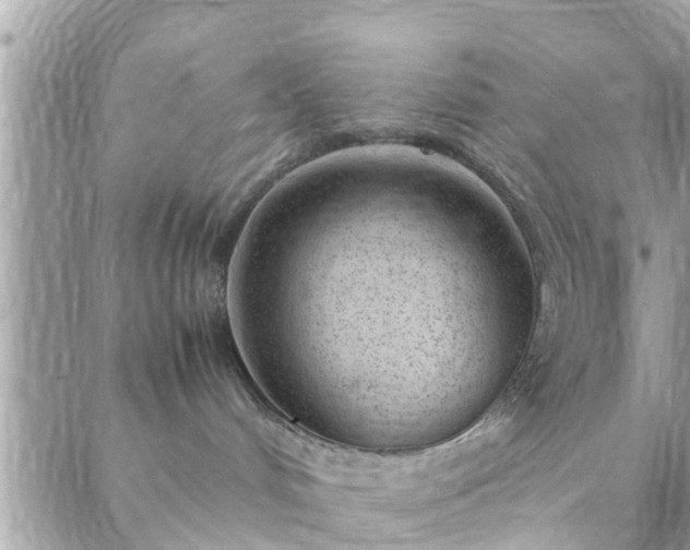 X0000088580048200706011123