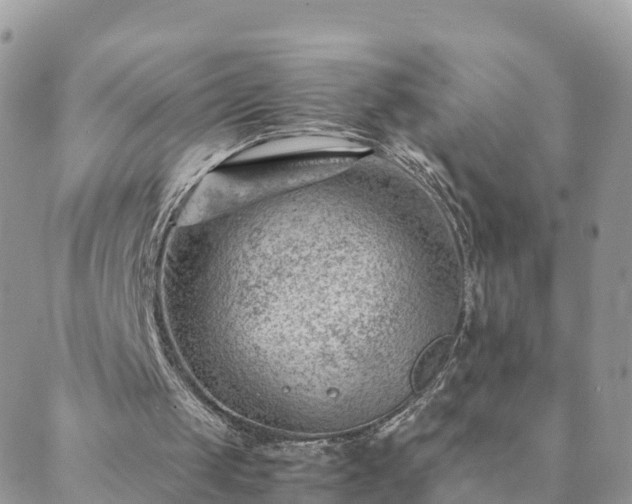 X0000088580049200706011123