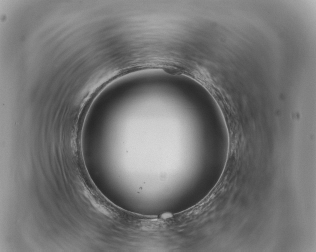 X0000088580050200706011123