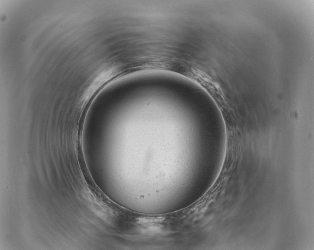 X0000088580051200706011123