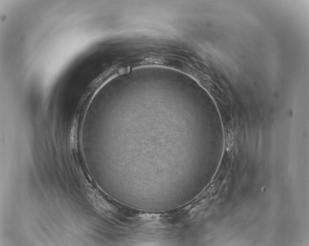 X0000088580052200706011123