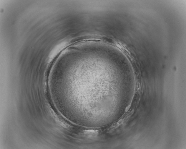 X0000088580053200706011123