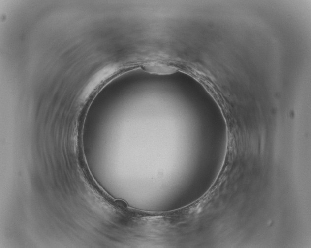 X0000088580054200706011123