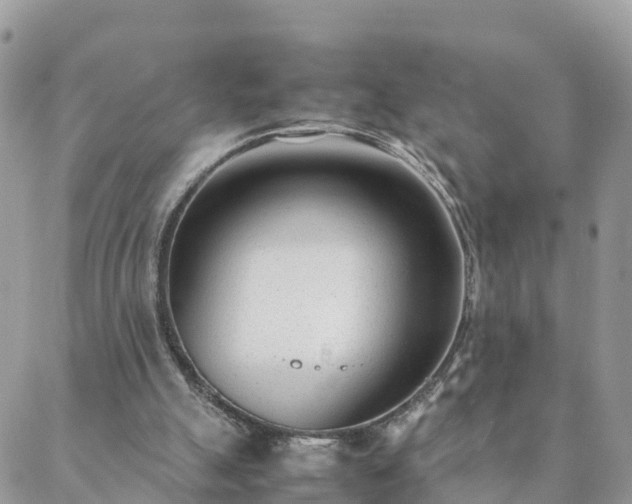 X0000088580055200706011123