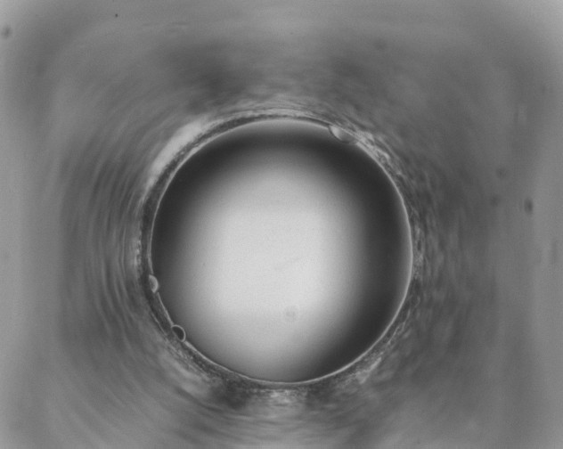 X0000088580056200706011123