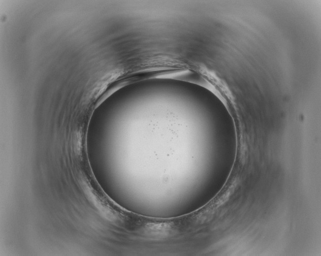 X0000088580057200706011123