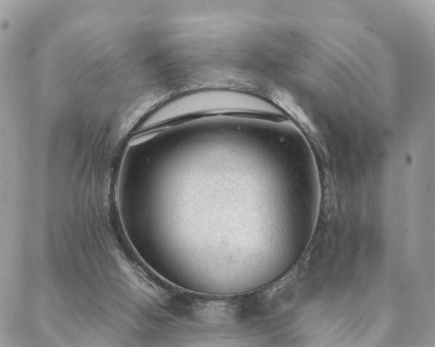 X0000088580058200706011123