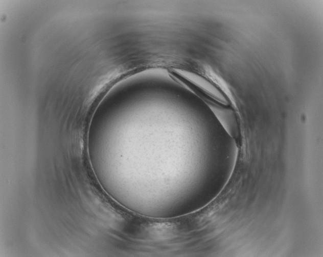 X0000088580059200706011123