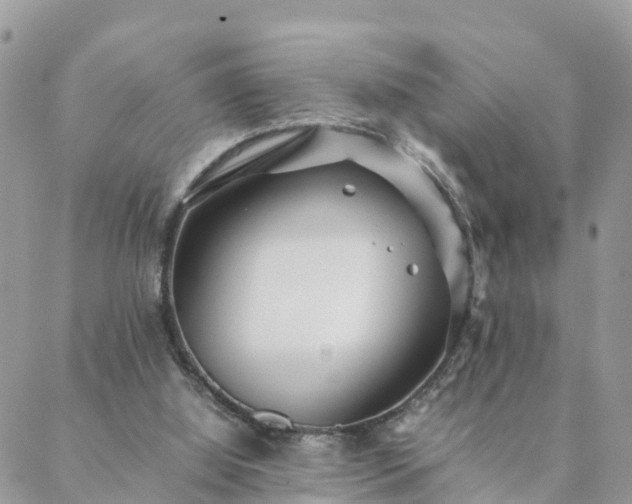 X0000088580060200706011123