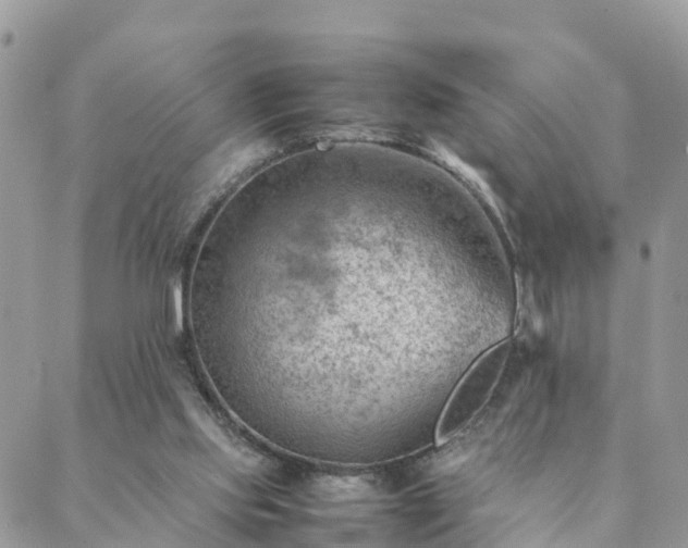 X0000088580061200706011123