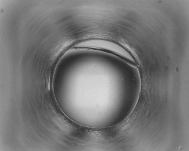 X0000088580062200706011123