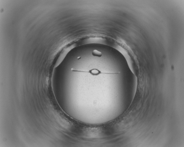 X0000088580063200706011123