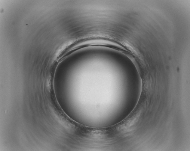 X0000088580064200706011123