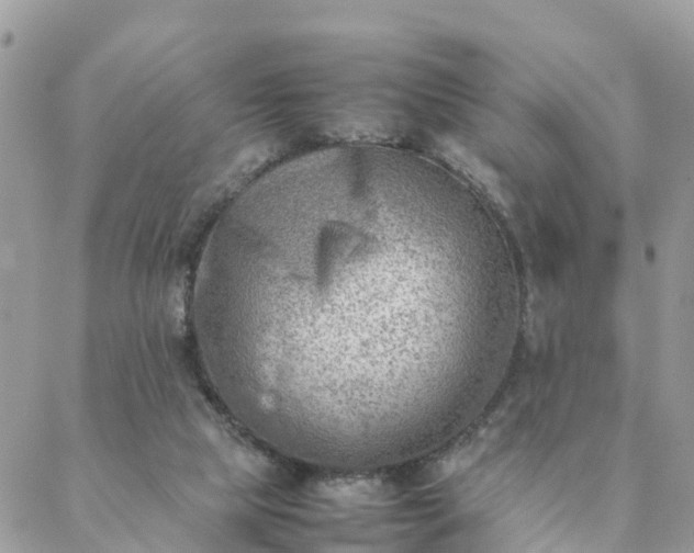 X0000088580065200706011123