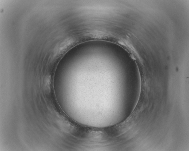 X0000088580066200706011123